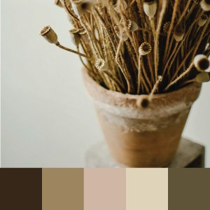 Combinação de cores: guia prático, gerador on-line e exemplos - Web Design Combinação de cores: guia prático, gerador on-line e exemplos - Web Design