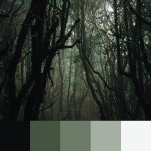 Combinação de cores: guia prático, gerador on-line e exemplos - Web Design combinação de cores - paleta mono