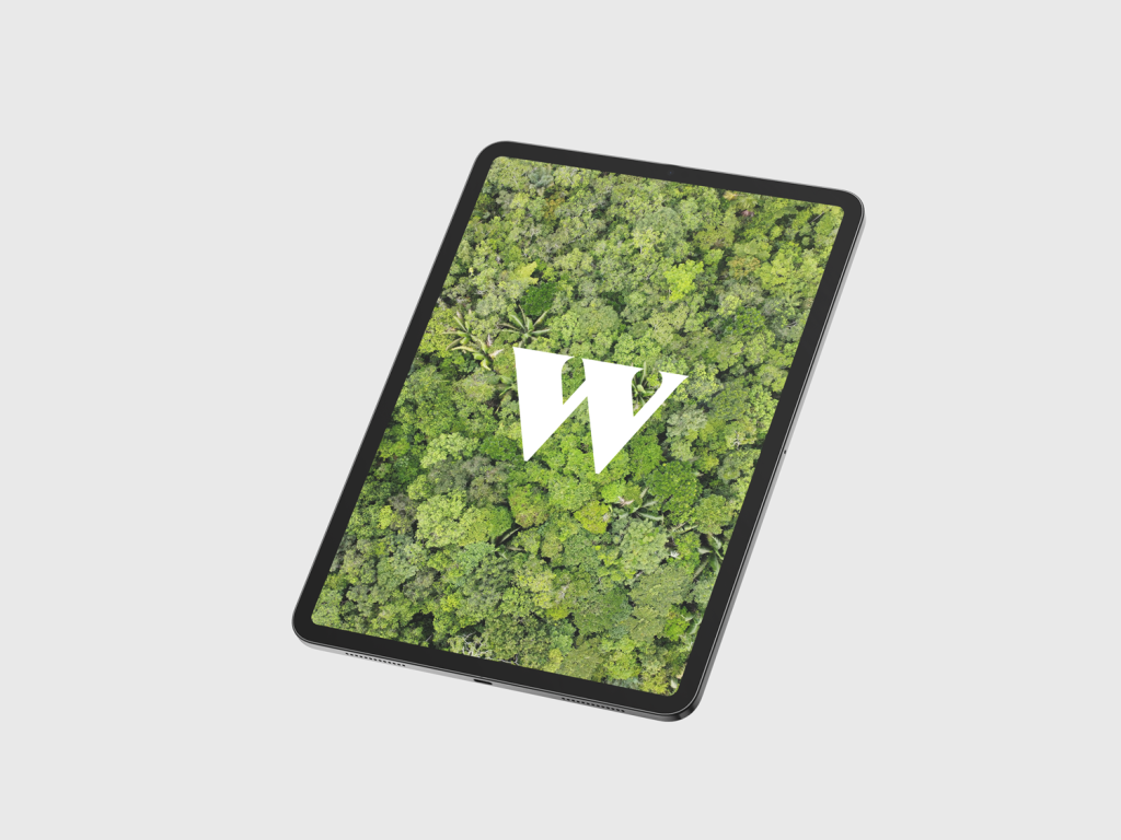 Web Design Sustentável -