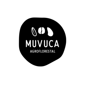 Web Design Sustentável - muvuca2