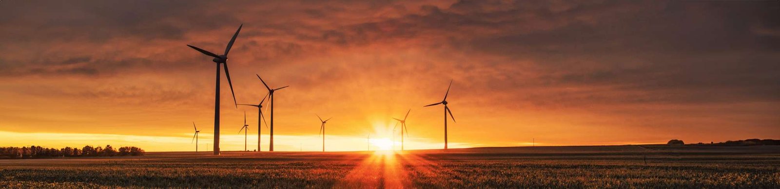 Web Design Sustentável -