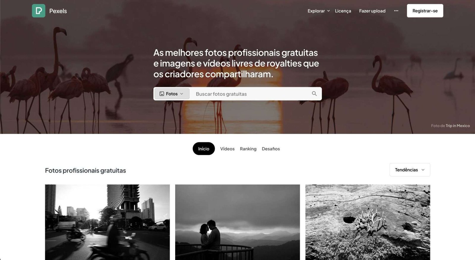 297 ferramentas de marketing essenciais para o seu negócio em 2024 - Marketing Ferramentas de marketing: Pexels